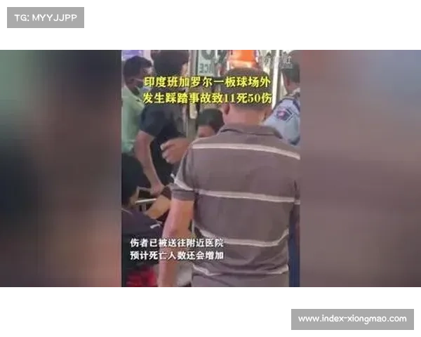 印度板球联赛重启面临安全隐患 超容观众引发踩踏悲剧警示 印度板球联赛重启面临安全隐患 超容观众引发踩踏悲剧警示
